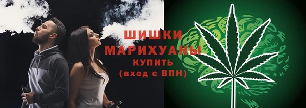 дмт Алзамай