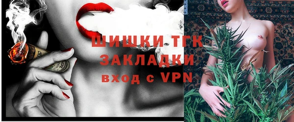 дмт Алзамай
